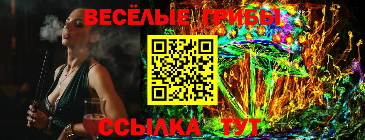 Псилоцибиновые грибы мицелий Подольск