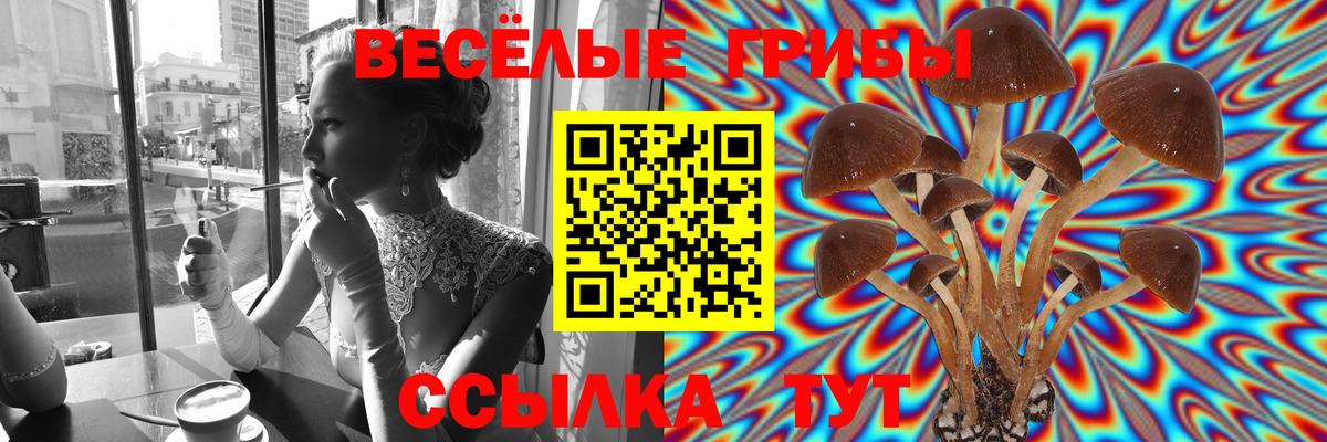 Галлюциногенные грибы мицелий  купить наркоту  Подольск  Вход с VPN  Псилоцибиновые грибы прущие грибы 